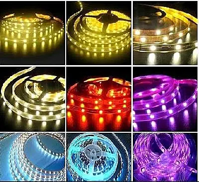 Digital & Addressable Lighting