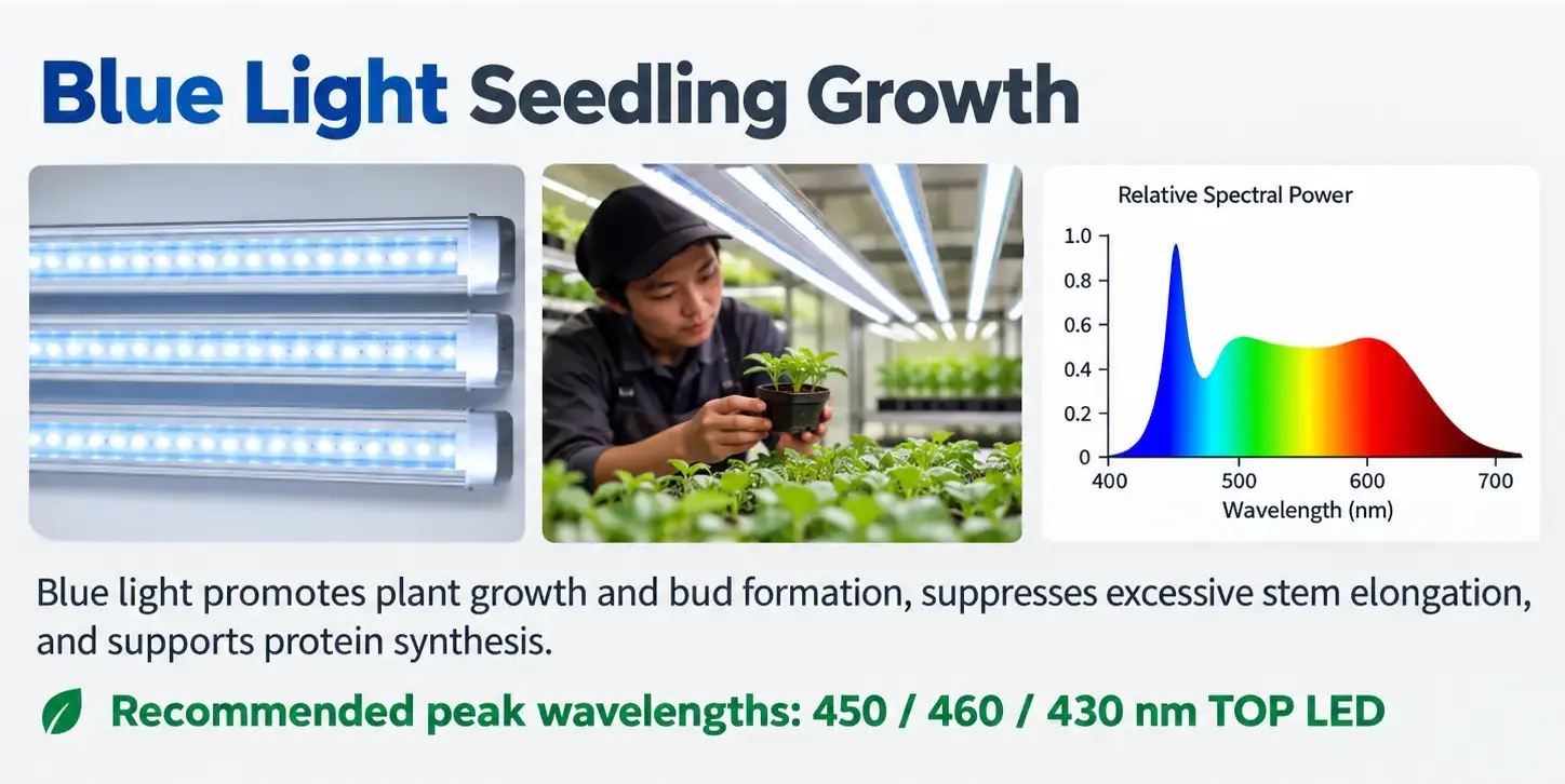 Grow Light LED Selection